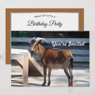 Ziegenschwarz Braune Hörner Tierprofil Geburtstag Einladung