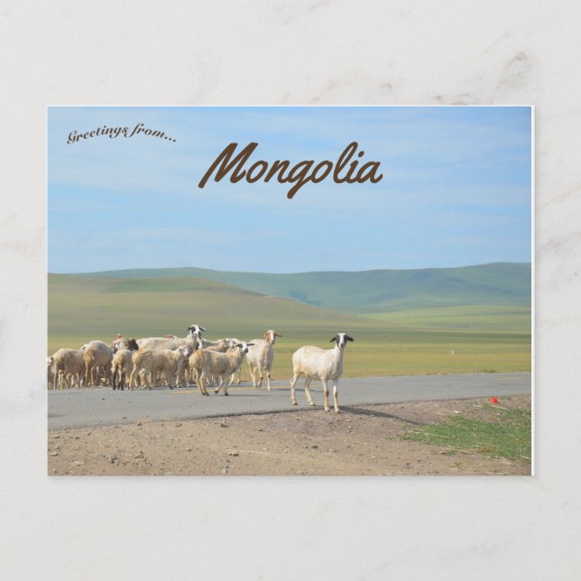 Ziegensperre in der Mongolei Postkarte (Vorderseite)