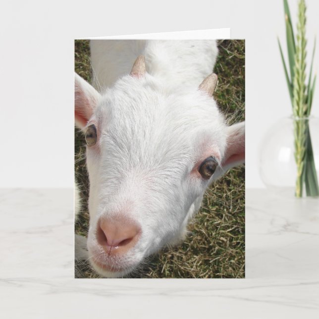 Ziegenwand Karte (Vorderseite)