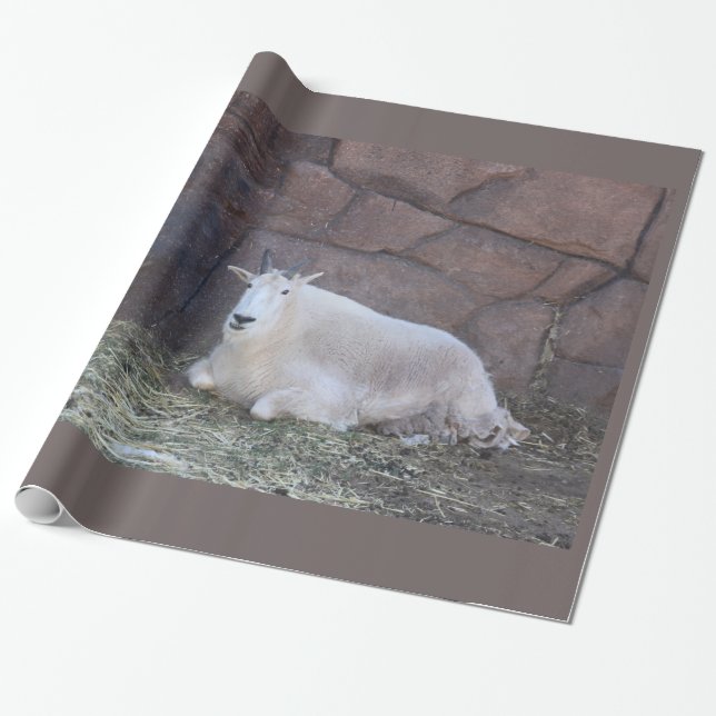 Ziegenwaschpapier Geschenkpapier (Ungerollt)