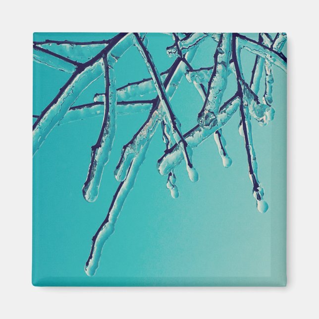 Ziegenzweige Magnet (Vorne)