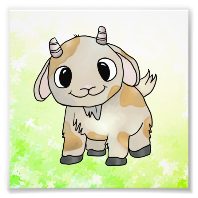 Zieglein Fotodruck (Vorne)