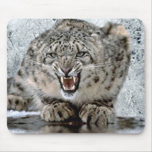 Ziehen Sie sich zurück! Mousepad