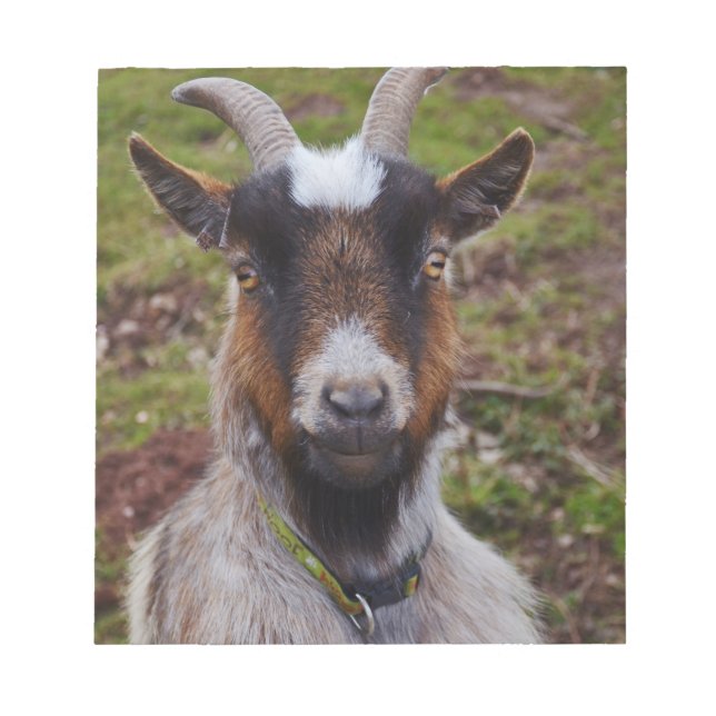 Zieht nah. notizblock (Vorderseite)