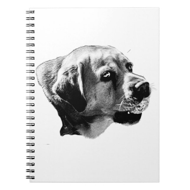 Zielsuche - Labrador mit seitlicher Ansicht Notizblock (Vorderseite)