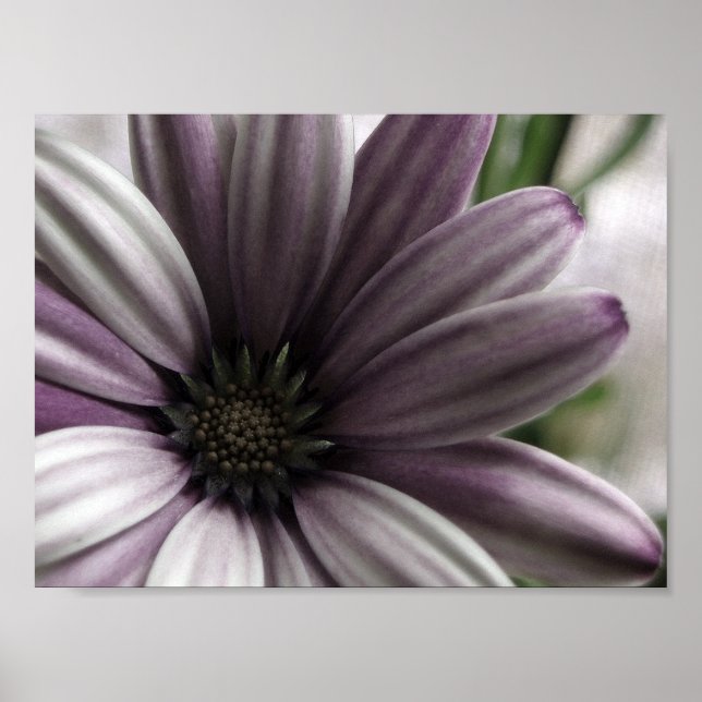 ziemlich poster (Vorne)