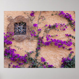 Zierfenster mit Bougainvillea Poster