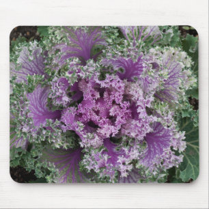 Zierkohl mit lockigem Blattkohl Mousepad