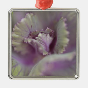 Zierkohl Silbernes Ornament