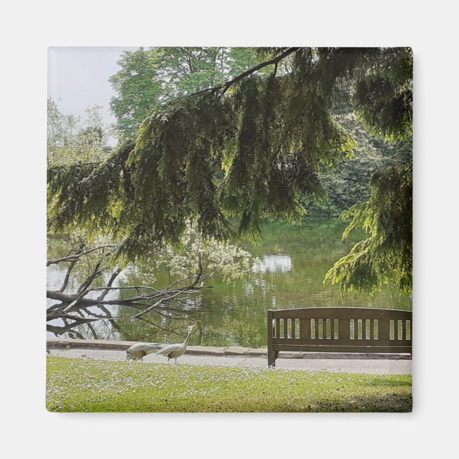 Zierpflanzenpfeichmagnet Magnet (Vorne)