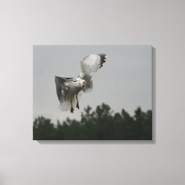 Zig Zag Canvas Print Leinwanddruck (Vorderseite)