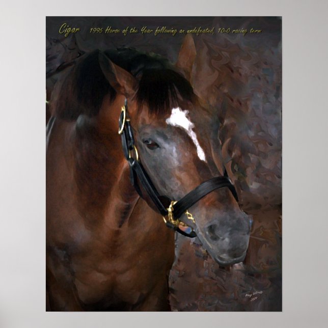 Zigar Poster (Vorne)