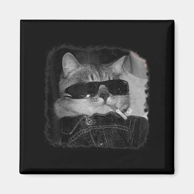 Zigarette Kitten Gang Cat Rauchen Zigarette Funny Magnet (Vorne)
