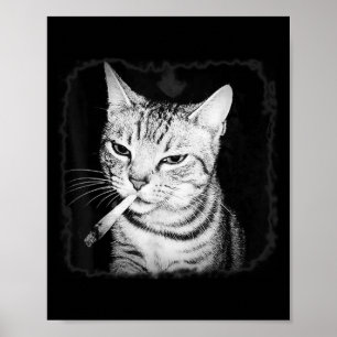 Zigarette Kitten Gang Cat Rauchen Zigarette Funny Poster