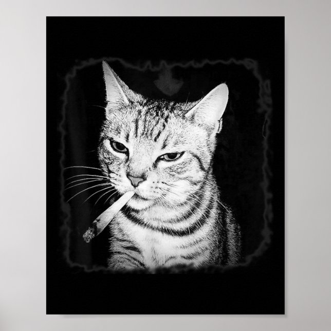 Zigarette Kitten Gang Cat Rauchen Zigarette Funny Poster (Vorne)