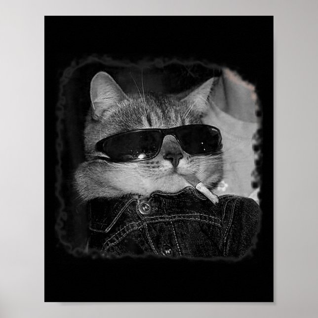 Zigarette Kitten Gang Cat Rauchen Zigarette Funny Poster (Vorne)