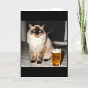 Zigarettenkatze Lustige Ragdoll-Katze Rauchendes K Karte