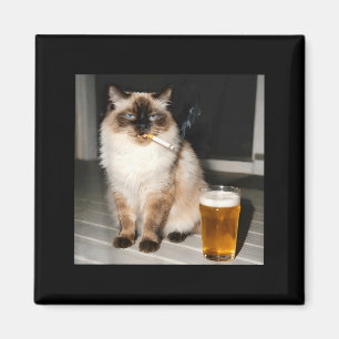 Zigarettenkatze Lustige Ragdoll-Katze rauchendes K Magnet