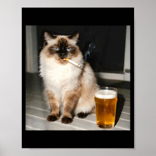 Zigarettenkatze Lustige Ragdoll-Katze Rauchendes K Poster
