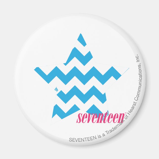 ZigZag Aqua Magnet (Vorne)