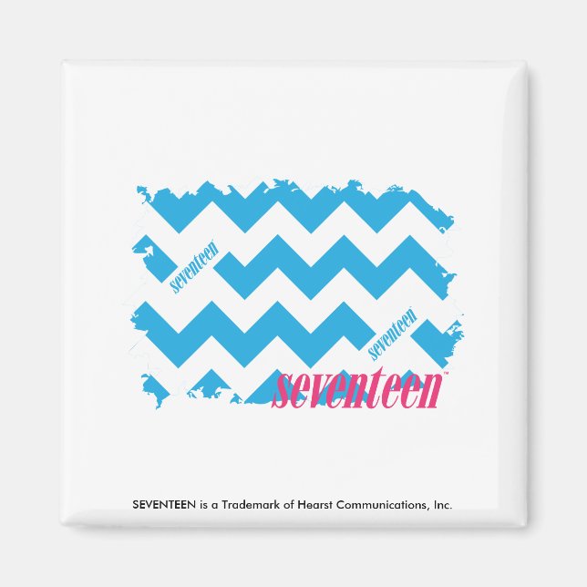 ZigZag Aqua Magnet (Vorne)