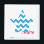 ZigZag Aqua Magnet<br><div class="desc">ZigZag Aqua</div>