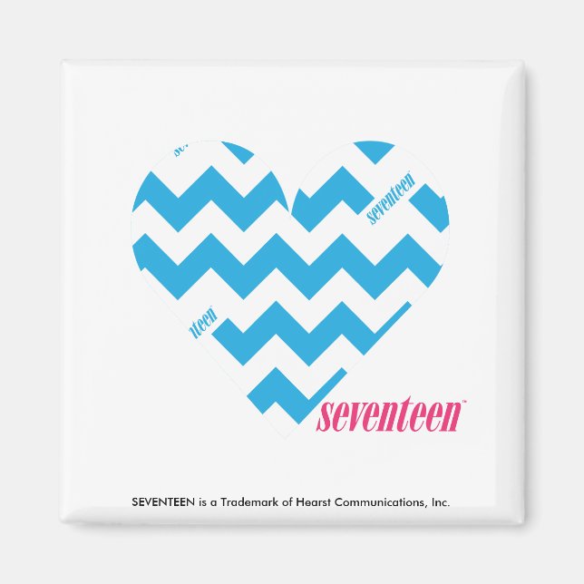 ZigZag Aqua Magnet (Vorne)