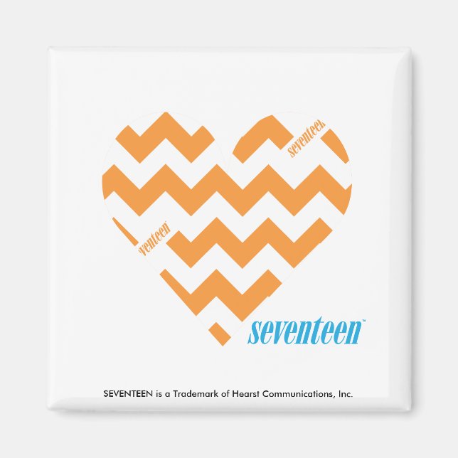 ZigZag Orange 2 Magnet (Vorne)