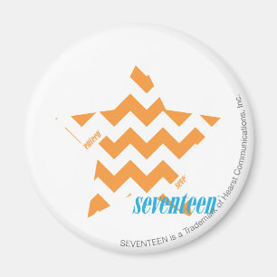 ZigZag Orange 3 Magnet