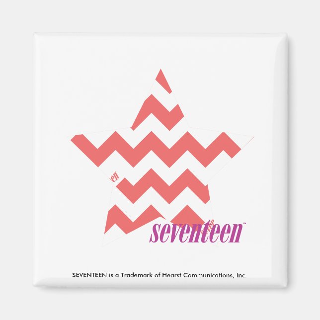 ZigZag Pink 4 Magnet (Vorne)
