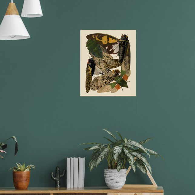 Zikaden Insekten Vintage 1929 Illustrationen Poster (Wohnzimmer 1)