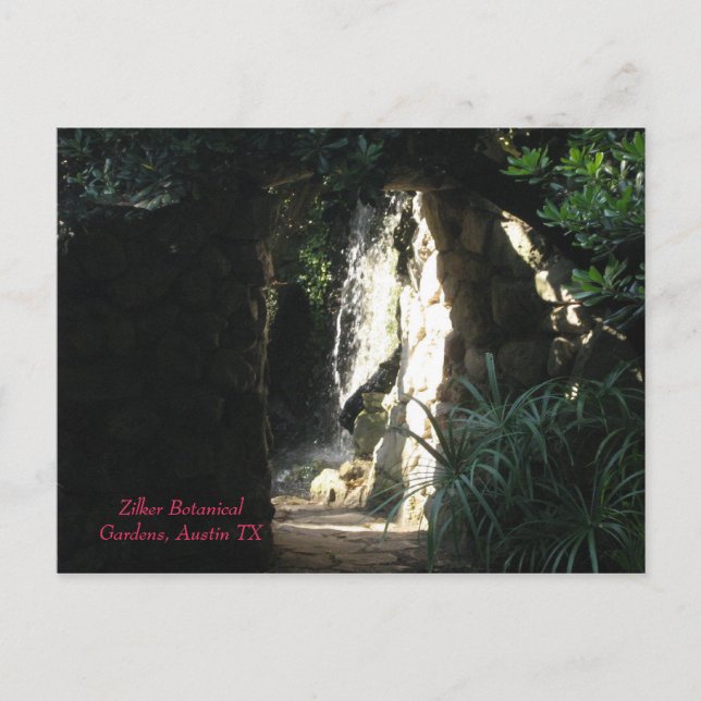 Zilker Botanical Gardens, Austin TX Postkarte (Vorderseite)