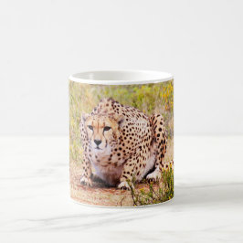 Zimbabwe cheetah Coffee Tasse