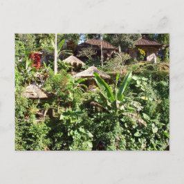 Zimmer mit Aussicht, Ubud, Bali Indonesia Postkarte