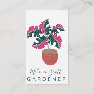 Zimmerpflanzen-Gärtner Monstera Tropical Pink Visitenkarte
