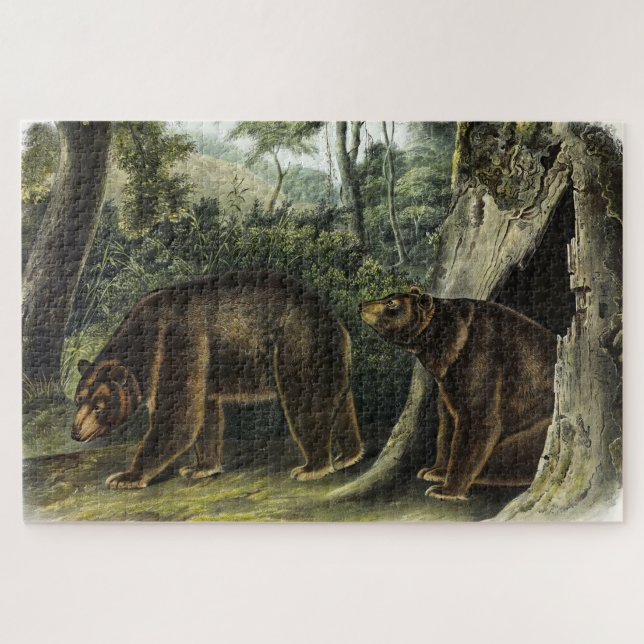 Zimtbär aus Audubons Quadrupeds Puzzle (Horizontal)