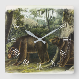 Zimtbär aus Audubons Quadrupeds Quadratische Wanduhr