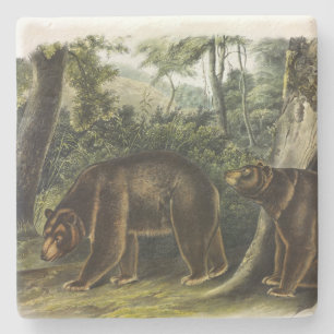 Zimtbär aus Audubons Quadrupeds Steinuntersetzer
