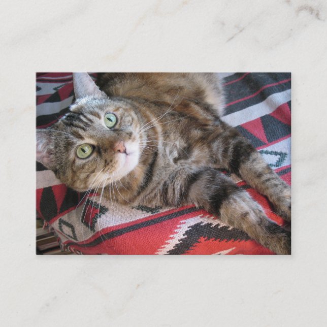 Zimtkatze aceo ATC Visitenkarte (Vorderseite)