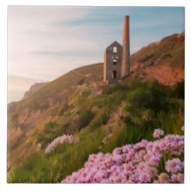 Zinnbergwerk, mit rosa Blume, Cornwall