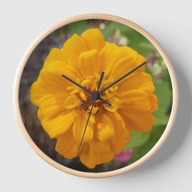 Zinnia Blume Foto Wall Clock Uhr (Vorderseite)
