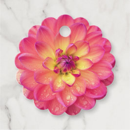 Zinnia Blume rosa Pfirsichgelb Geschenkanhänger