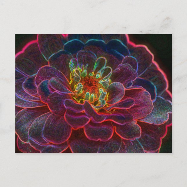 Zinnia Digital Art Flower Fotokarte Postkarte (Vorderseite)