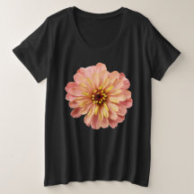 Zinnia Floral Blume Naturfotografie