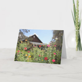 Zinnia Garden Note Card<Blank Inside> Dankeskarte