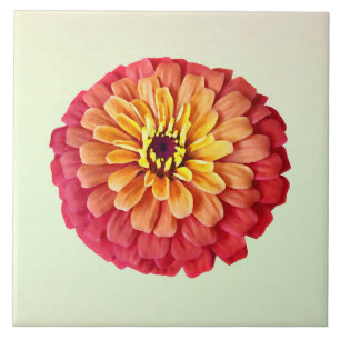 Zinnia in Orange-Schatten Fliese