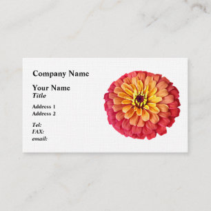 Zinnia in Orange-Schatten Visitenkarte