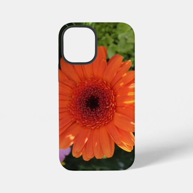 Zinnia iPhone Hülle (Rückseite)