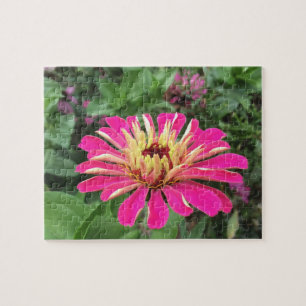 ZINNIA - Lebendes Rosa und Creme - Puzzle