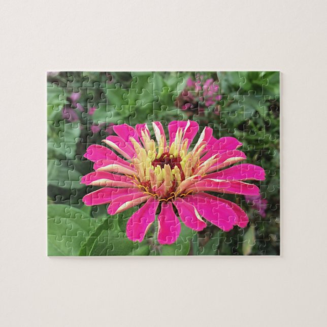 ZINNIA - Lebendes Rosa und Creme - Puzzle (Horizontal)